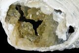 Fossil Clam With Fluorescent Calcite Crystals - Ruck's Pit, FL #175665-2